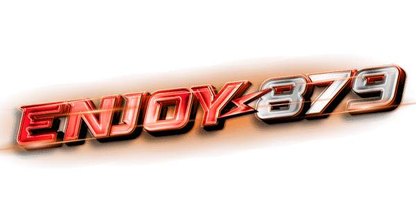 enjoy879 logo